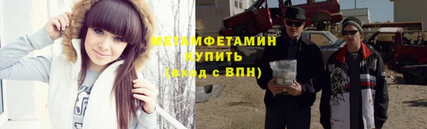 индика Инсар