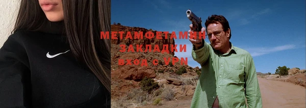 индика Инсар