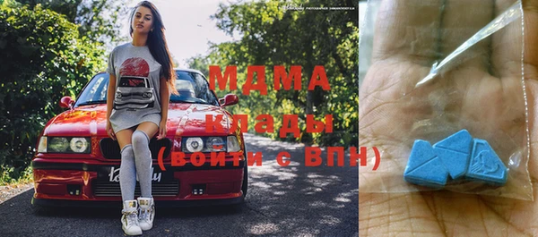 индика Инсар