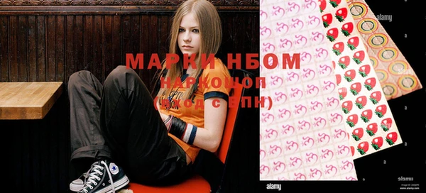 индика Инсар