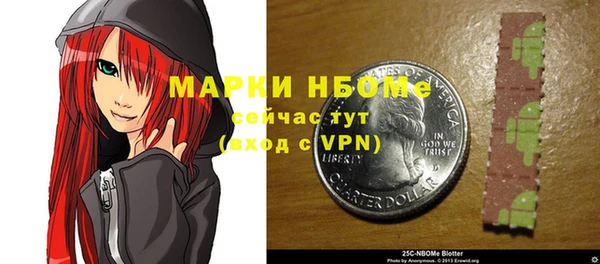 индика Инсар