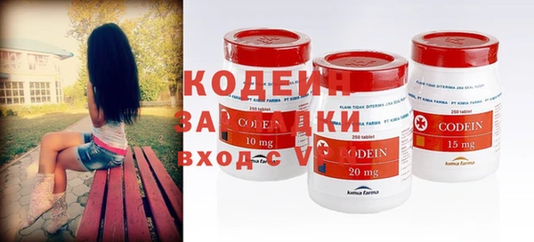 индика Инсар