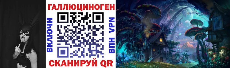 Псилоцибиновые грибы MAGIC MUSHROOMS  Купить закладки  Новошахтинск 