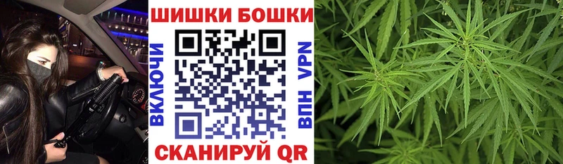 Конопля SATIVA & INDICA Новошахтинск